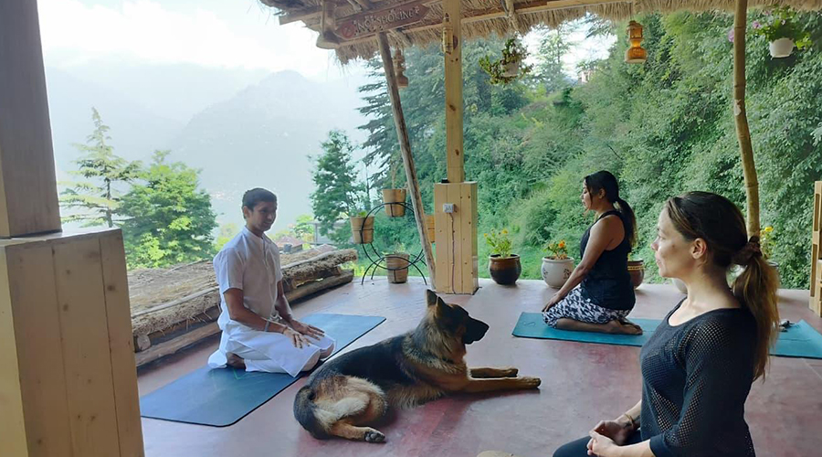 Group & Corporate Yoga