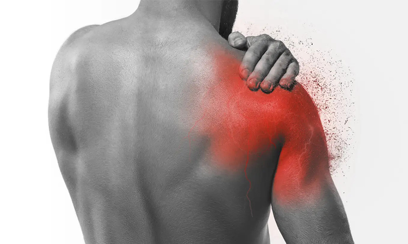 Shoulder Pain Workshop